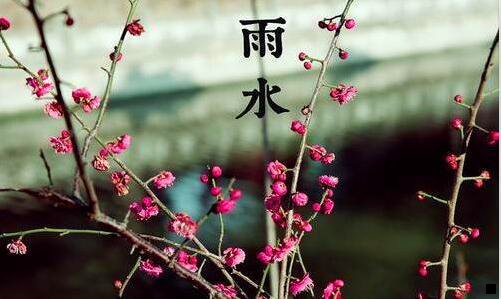 三粉象生活到底能不能做