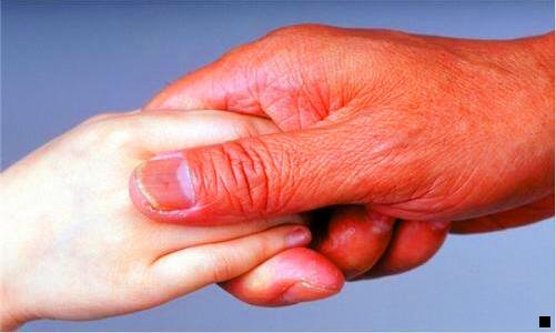 二粉象生活能看到粉丝订单吗