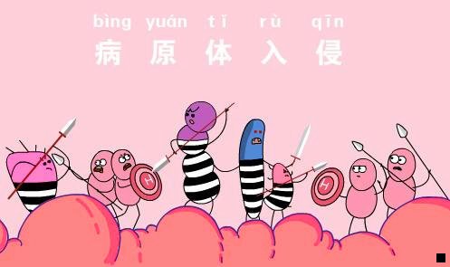 一卡通粉象