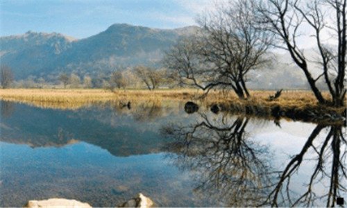 二粉象生活宣传文案