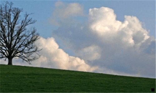 二粉象生活怎么自己注册邀请码