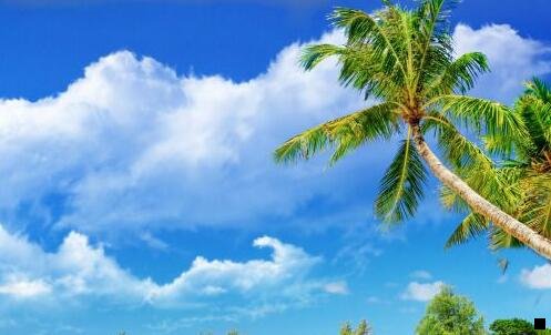 三羊皮卷适合什么人看