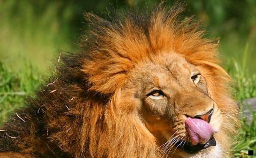 二粉象生活这个软件有风险吗