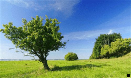 二粉象如何注销重新注册