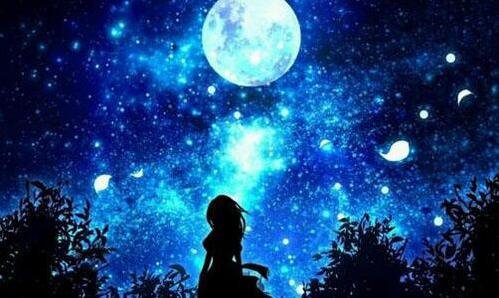 二粉象生活在哪找客服