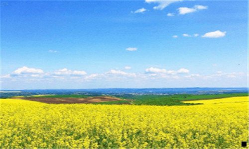 二粉象生活赚钱是真的假的