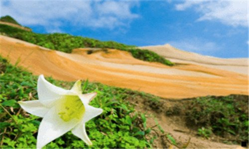 二粉象生活到底靠谱吗