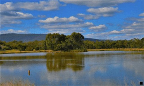 三2020做粉象还是花生