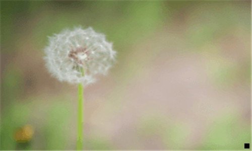 三蜜源和粉象自用哪个好