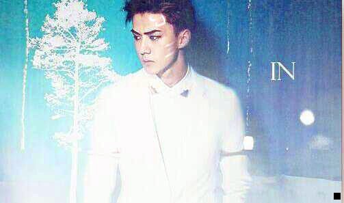 二神象珍珠粉是雷允上药的吗