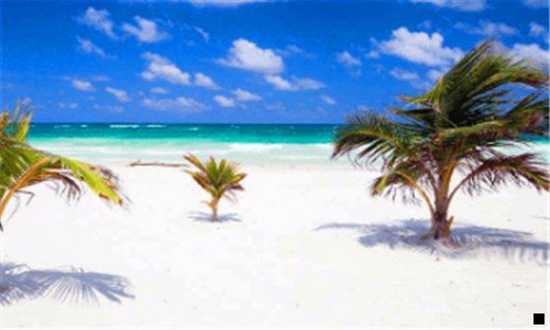 二粉象生活升级太难