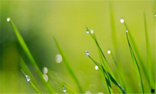 三粉象生活收入图片