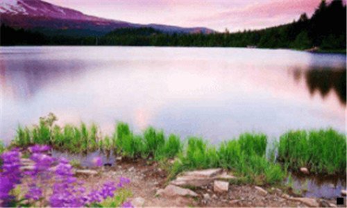 二借呗邀你来体验是开通了吗