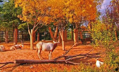 三粉象生活是真的假的