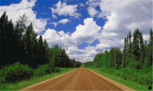 二粉象生活和粉象优惠券的区别