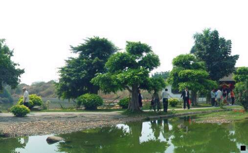 一粉象公司在哪里