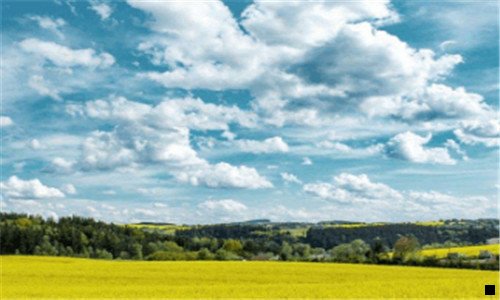 三粉象生活跟好省哪个更好做