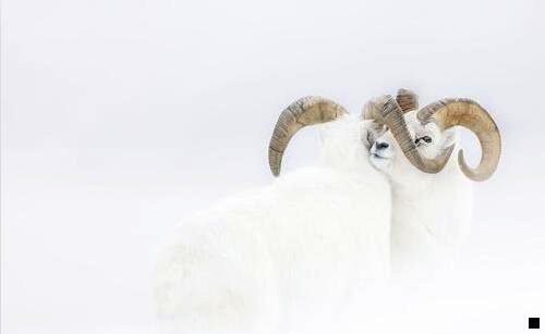 一粉象生活邀请码就找571084