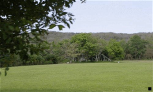 二马云如何评价粉象生活的