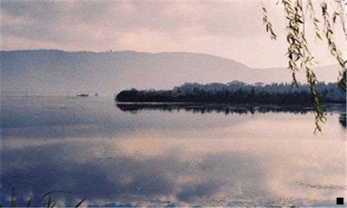 二粉象酒吧价格多少