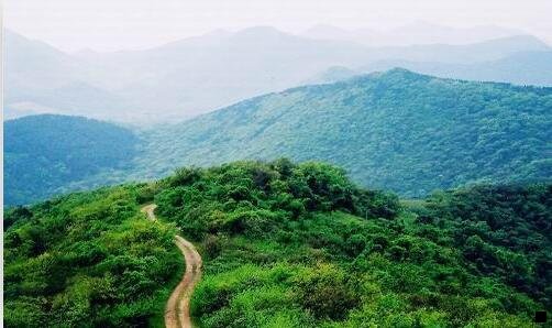 三粉象樱桃啤酒 口味如何