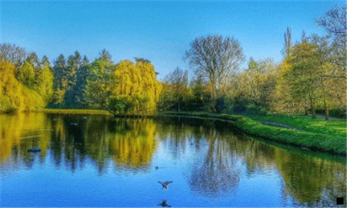 一粉象美逛均被牵连