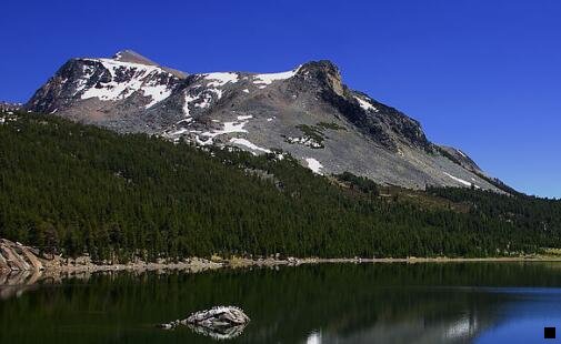 三一淘和花生哪个佣金高