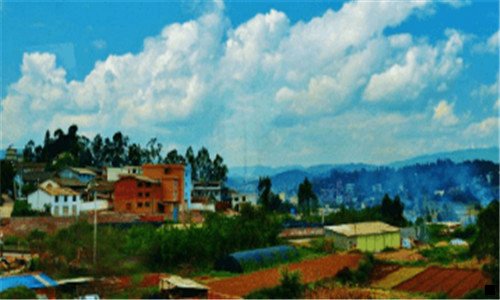 三只有订单编号怎么查快递