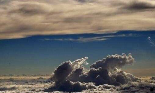 一粉象生活网页版