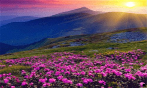 一粉象生活注册需要花钱吗