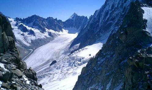 一网上太多粉象邀请码了