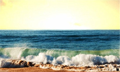 二粉象生活怎么自己注册邀请码