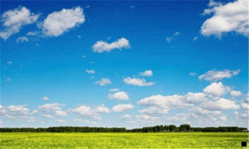 三2020粉象生活团队排行榜