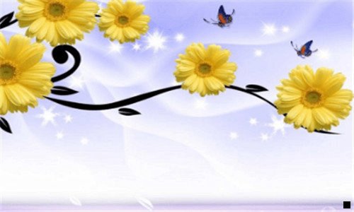 一神象牌灵芝孢子粉价格