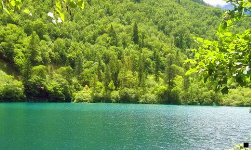 二粉象生活拉不到人能赚佣金吗