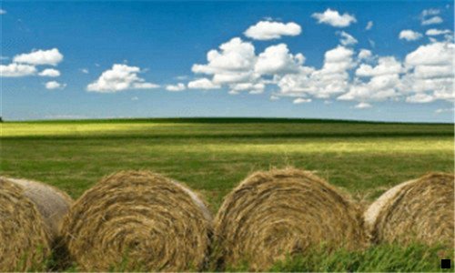 二粉象生活怎么找美团外卖