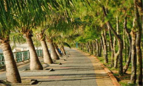 三象印粉胖子杯盖结构