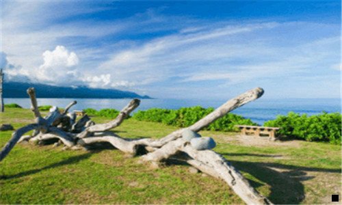 二注册了粉象怎么注销