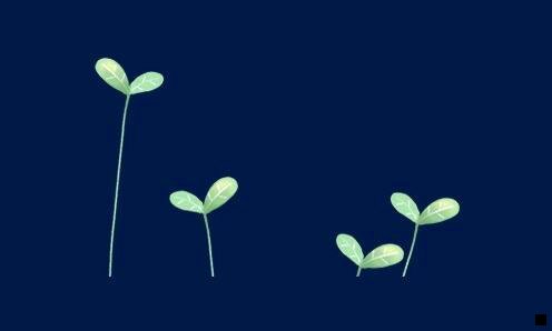 三浅粉象啤酒介绍