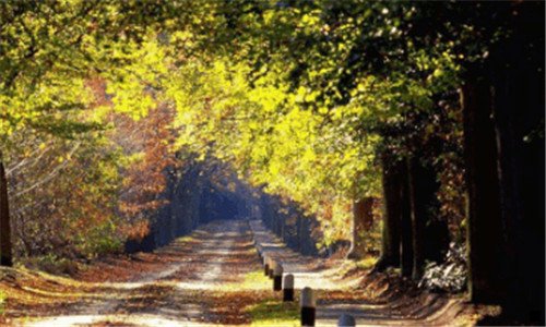 三粉象生活为啥要邀请码