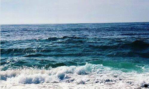 二粉象生活发券机器人