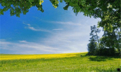 一粉象生活提现有风险吗