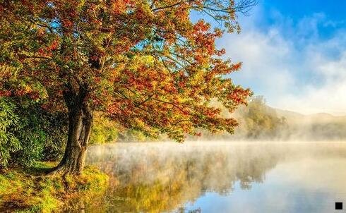 一粉象提现扣手续费