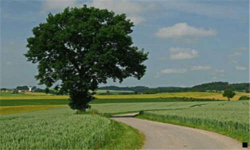 三粉象可以换微信号绑定吗