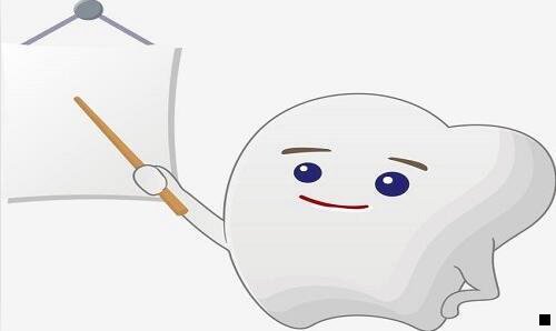 二粉象生活