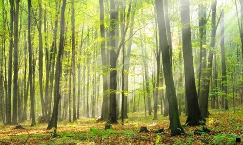 三赚钱新项目总部薇fxsh33