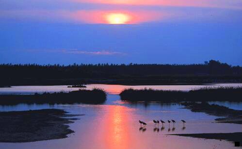 二小财象靠谱吗