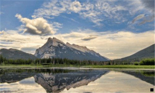 三粉象生活靠什么盈利