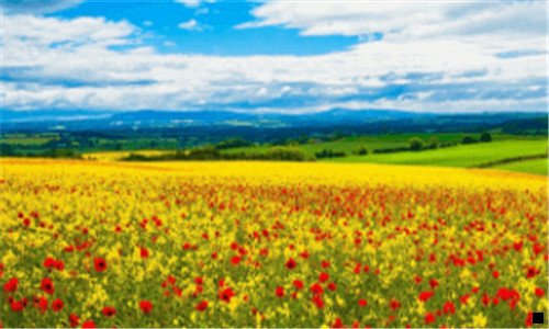 一粉象生活瓜分现金靠谱吗