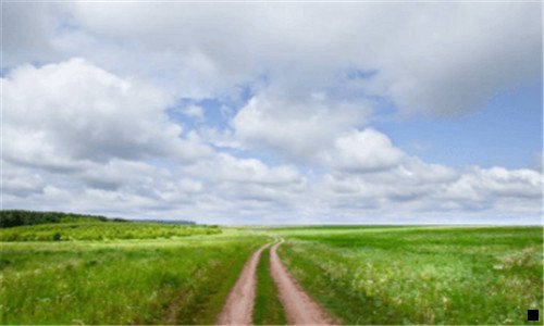 二瓜分现金的活动有哪些